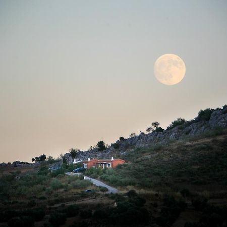 Cortijo Nuevo Alojamiento Rural Cuevas del Becerro 외부 사진