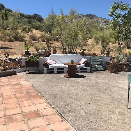 Cortijo Nuevo Alojamiento Rural Cuevas del Becerro 외부 사진