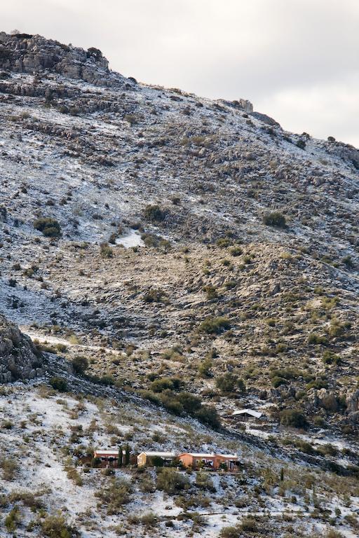 Cortijo Nuevo Alojamiento Rural Cuevas del Becerro 외부 사진