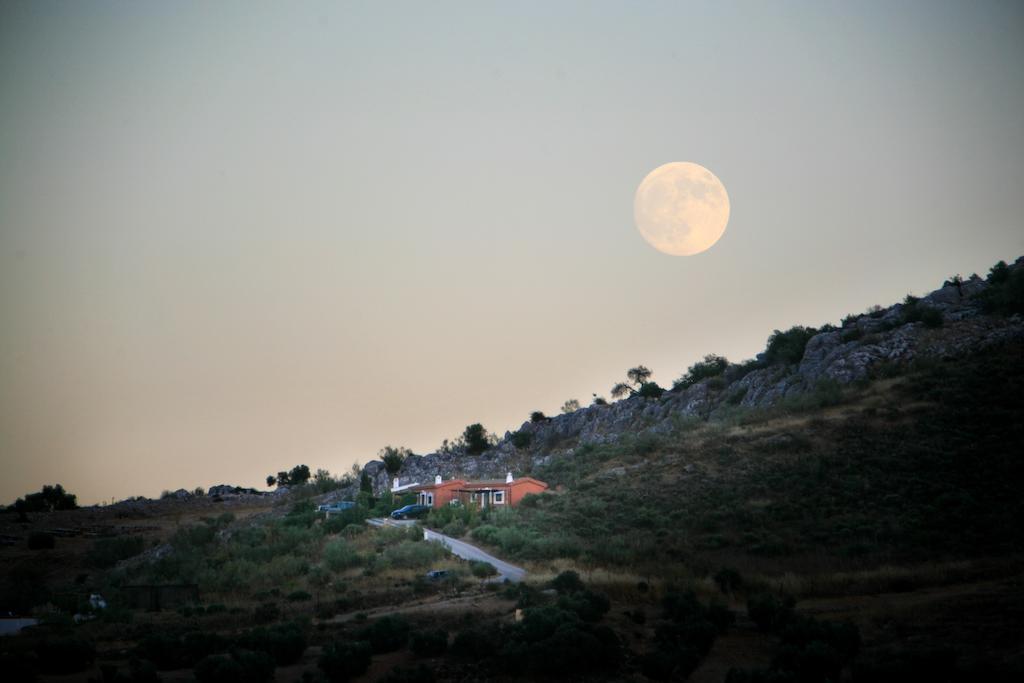 Cortijo Nuevo Alojamiento Rural Cuevas del Becerro 외부 사진